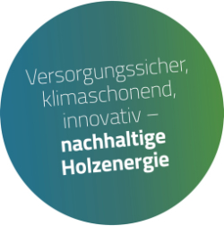 22. Fachkongress Holzenergie